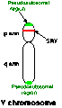 Ifoto ntoya yikiciro nka 14:29, 13 Gicurasi 2017