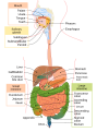 Thumbnail for version as of 23:09, 22 March 2016