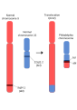 Pisipilt versioonist seisuga 8. detsember 2014, kell 15:57