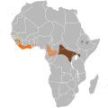 በ19:48, 3 ማርች 2012 የነበረው ዕትም ናሙና