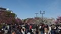 2016年4月11日 (月) 09:57時点における版のサムネイル