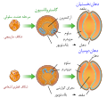 تصویر بندانگشتی از نسخهٔ مورخ ‏۲۲ آوریل ۲۰۲۳، ساعت ۲۳:۵۱