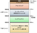 2007年12月12日 (水) 04:02時点における版のサムネイル