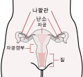 2017년 5월 20일 (토) 21:49 판의 섬네일