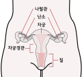 2017년 6월 6일 (화) 23:59 판의 섬네일