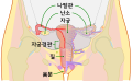 2019년 2월 8일 (금) 19:04 판의 섬네일