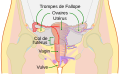 Vignette pour la version du 8 février 2019 à 09:59