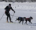 Bélyegkép a 2007. január 21., 22:00-kori változatról