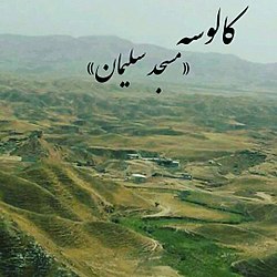 تصویری از کالوسه