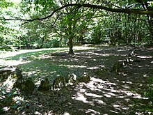 Cromlech vom Puy de Pauliac