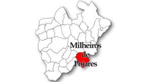 Localização no concelho de Santa Maria da Feira