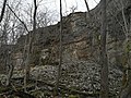 崖の下に堆積した落石とさらなる流出を抑える森林（エストニア）