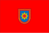 Bandeira de Cadreita