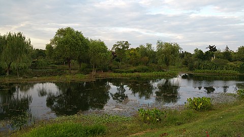 山林中的湖景