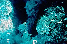 Black smokers were first discovered in 1979 on the East Pacific Rise at 21deg north latitude. BlackSmoker.jpg