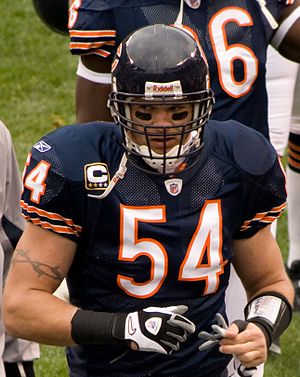 English: Brian Urlacher of the Chicago Bears