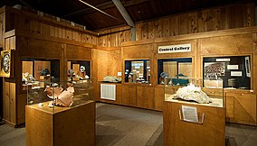 Государственный музей горной промышленности и минералов Калифорнии - central gallery.jpg