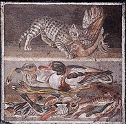 Ancient Roman mosaic of a cold-ass lil pussaaaaay cappin' a partridge from tha Doggy Den of tha Faun up in Pompeii