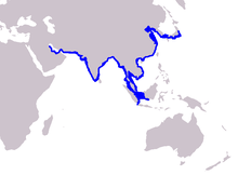 Cetacea range map Finless Porpoise.PNG