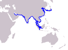 Distribución de la marsopa sin aleta