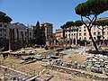 Miniatura per Area sacra di Largo Argentina