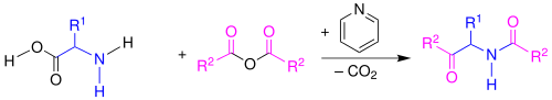 Reaktionsschema Dakin-West-Reaktion