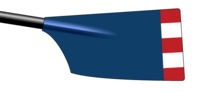 Image showing the rowing club's blade colours