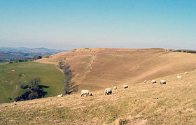 Eggardon-monteto de suda oriento 19Mar2006.jpg