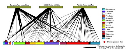 Food web reconstruction by DNA barcodes.jpg