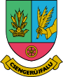 Wappen von Csengerújfalu