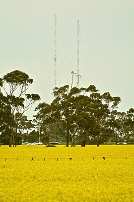 Hoppers-Crossing-Radio-Towers.JPG