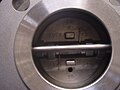 Inside wafer check valve