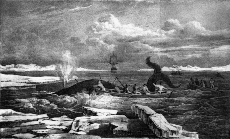 Journal of a Voyage to Greenland, in the Year 1821, plate 18 (cropped).png