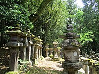 Kasuga Taisha (rij lantaarns)