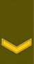 LT-Army-OR4.gif