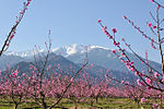 Paysages du Conflent