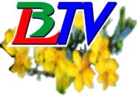 Tập tin:Logo Tết BLTV Bạc Liêu 022018.webp