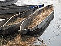 Csónakok a kolbászfák törzseiből