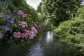 Le canal du Loing.