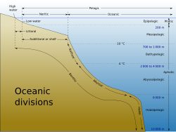 Oceanic divisions.svg