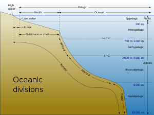 本図は、海岸線からの距離と水深によって分けられる大洋の区分を示す。