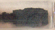 Gambar mini seharga Osmium