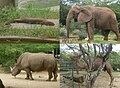 Parque Zoológico y Botánico Bararida