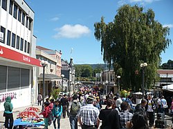 Rruga Libertad në Valdivia