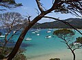 Îles d'Hyèresのla Courtade海岸、 フランス