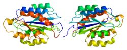 Integrin alpha-2