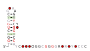 DUF3800-XI Secondary structure taken from the Rfam database. Family RF02975