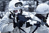 Royal Marines during the annual Cold Weather Training exercise