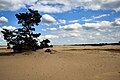 El paisaje del mar de arena recuerda ciertas zonas subsahelianas