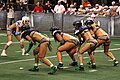 Seattle Mist players in action